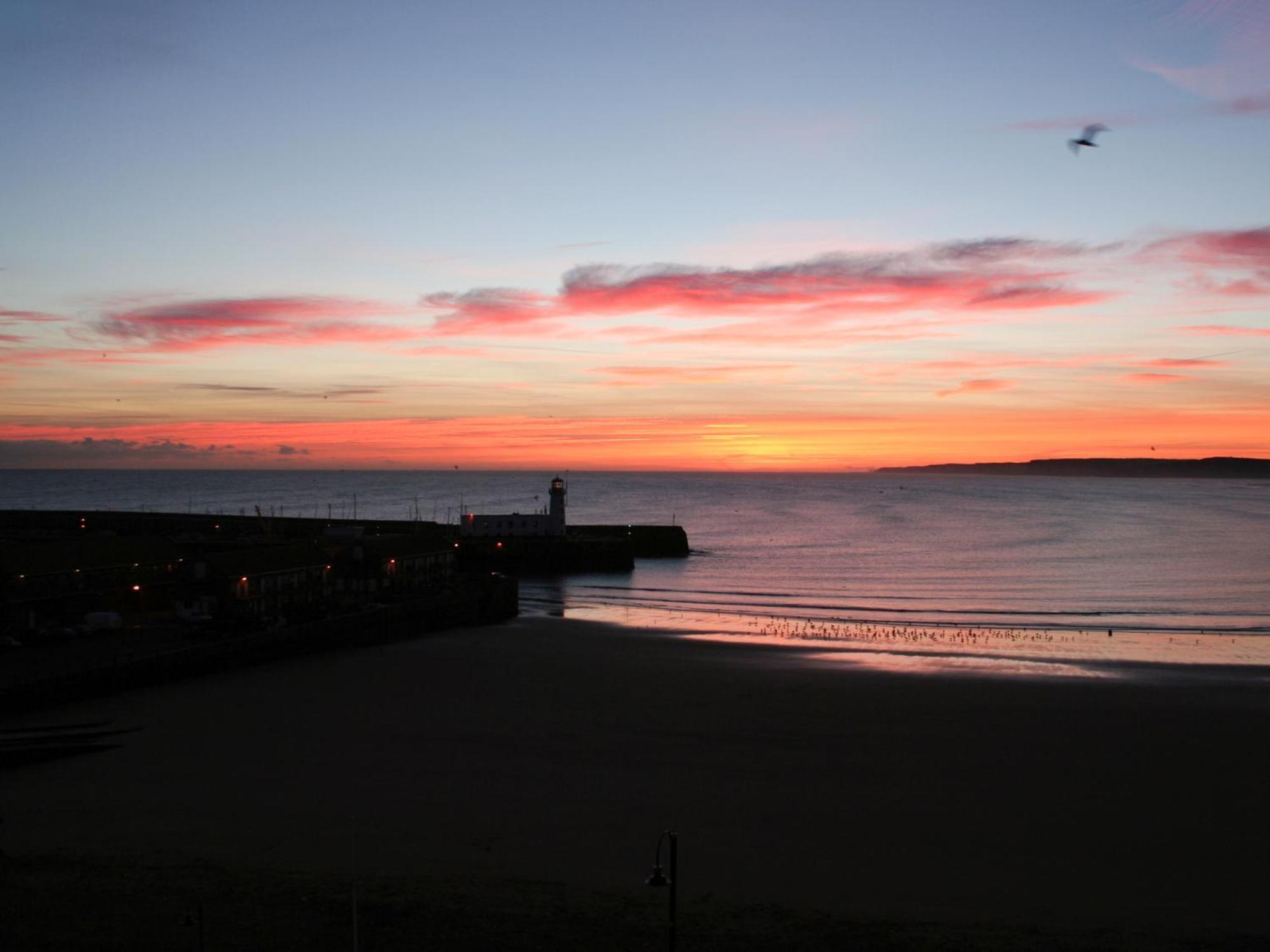 Waimea Apartments - Sea Views South Bay Scarborough Free Parking Extérieur photo